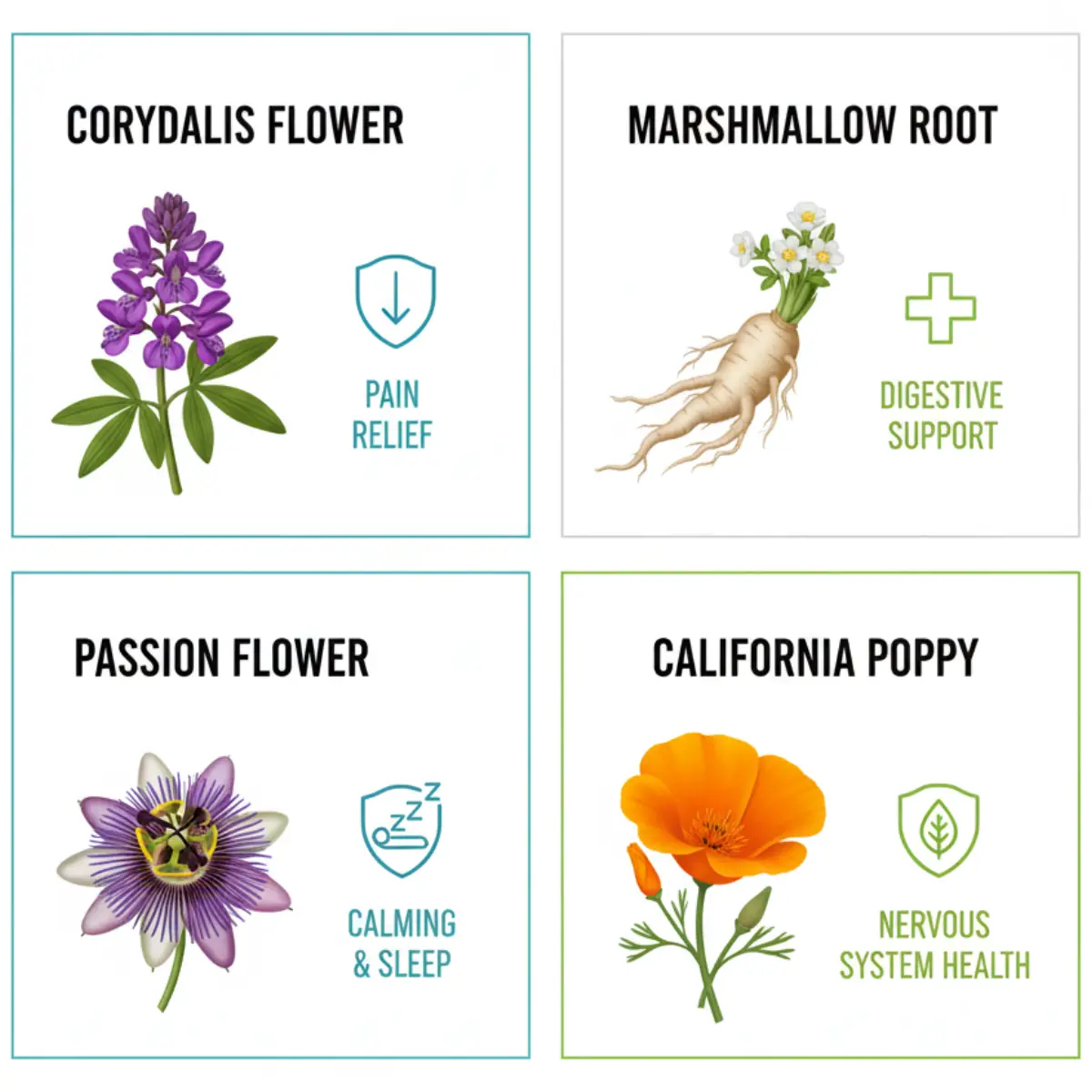 Uma combinação dos ingredientes naturais do NerveCalm